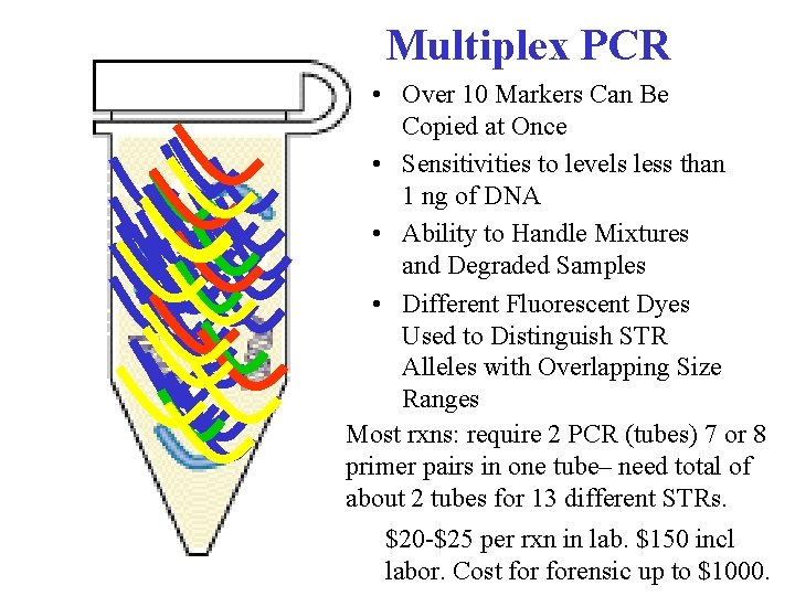 Multiplex PCR • Over 10 Markers Can Be Copied at Once • Sensitivities to