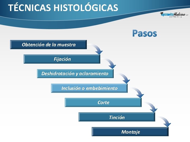 TÉCNICAS HISTOLÓGICAS Obtención de la muestra Fijación Deshidratación y aclaramiento Inclusión o embebimiento Corte