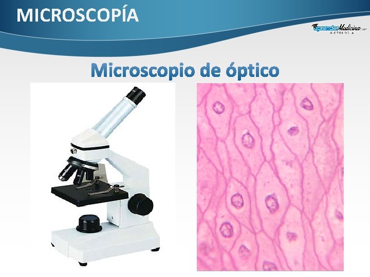 MICROSCOPÍA 