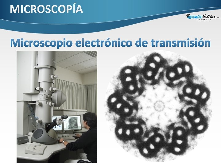 MICROSCOPÍA 