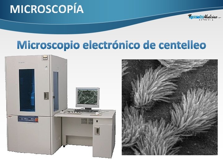 MICROSCOPÍA 