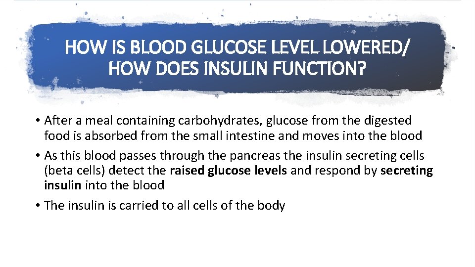 HOW IS BLOOD GLUCOSE LEVEL LOWERED/ HOW DOES INSULIN FUNCTION? • After a meal