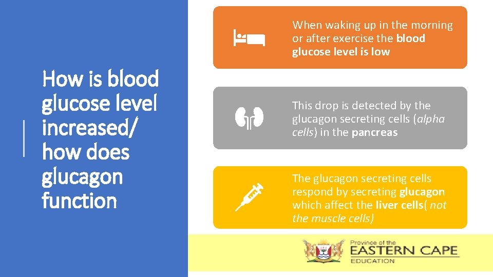When waking up in the morning or after exercise the blood glucose level is