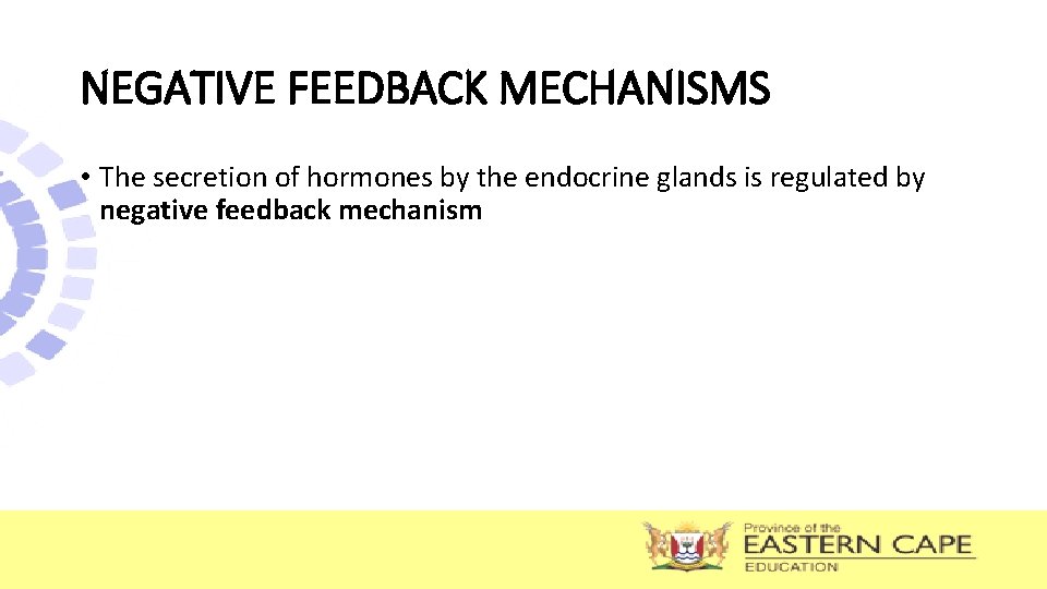 NEGATIVE FEEDBACK MECHANISMS • The secretion of hormones by the endocrine glands is regulated