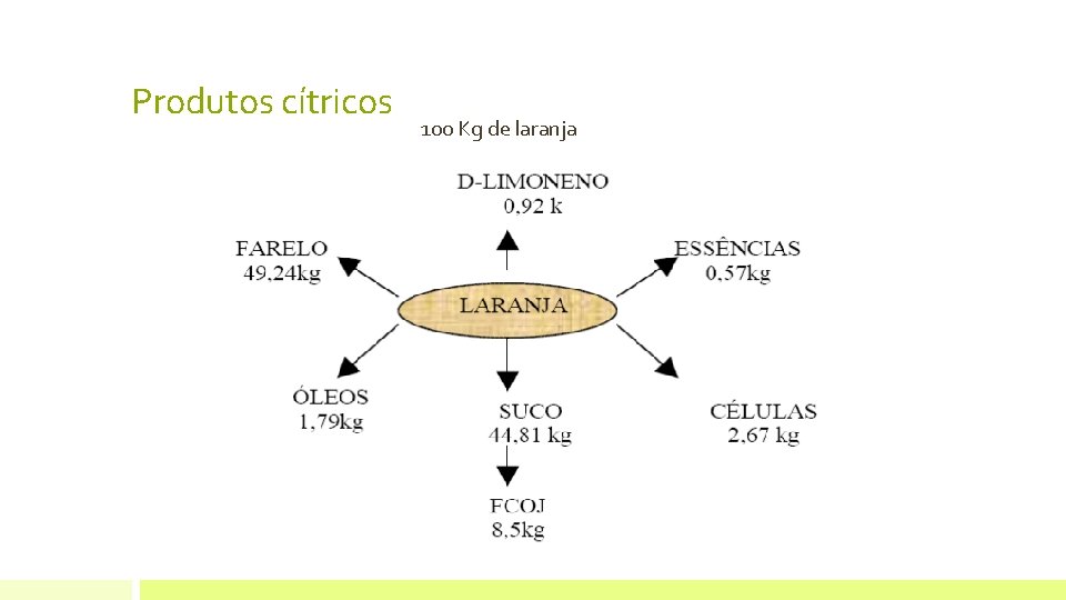 Produtos cítricos 100 Kg de laranja 