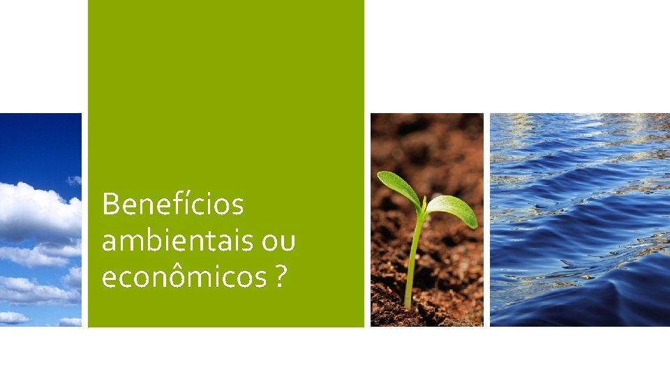 Benefícios ambientais ou econômicos ? 