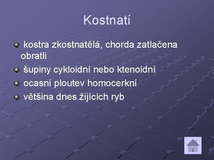 Kostnatí kostra zkostnatělá, chorda zatlačena obratli šupiny cykloidní nebo ktenoidní ocasní ploutev homocerkní většina