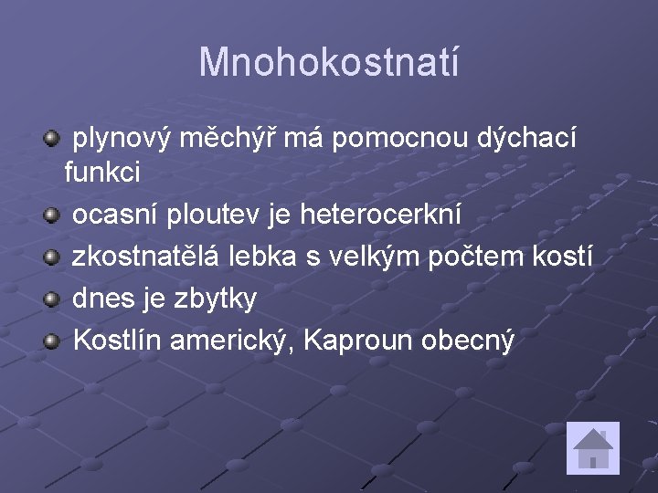 Mnohokostnatí plynový měchýř má pomocnou dýchací funkci ocasní ploutev je heterocerkní zkostnatělá lebka s