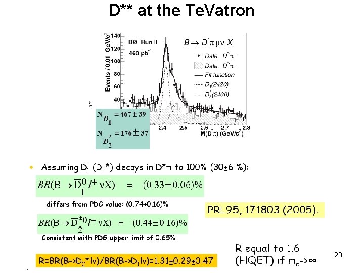 D** at the Te. Vatron 20 