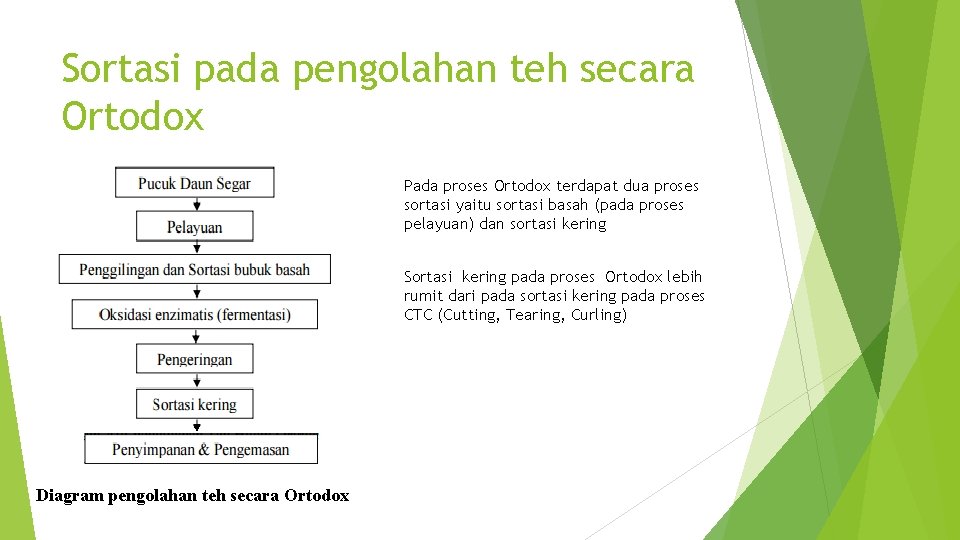 Sortasi pada pengolahan teh secara Ortodox Pada proses Ortodox terdapat dua proses sortasi yaitu