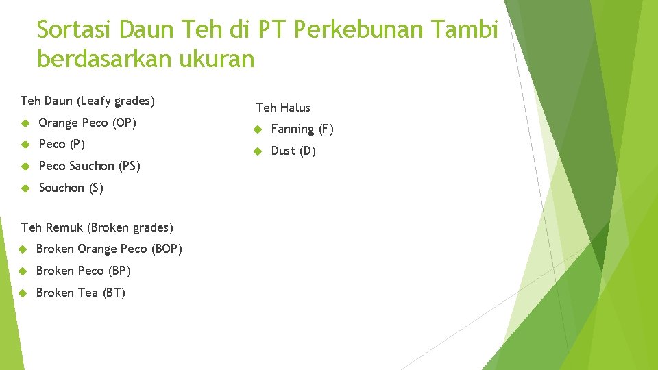 Sortasi Daun Teh di PT Perkebunan Tambi berdasarkan ukuran Teh Daun (Leafy grades) Orange