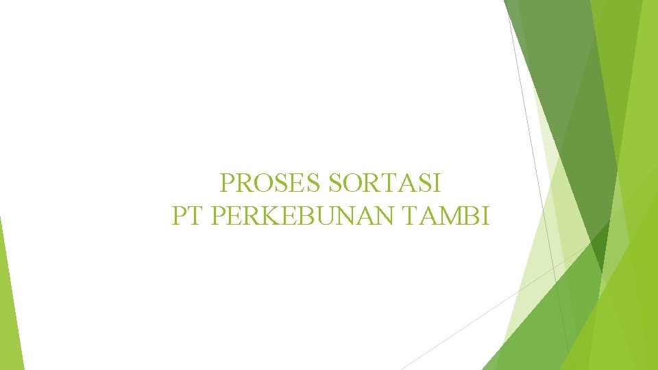 PROSES SORTASI PT PERKEBUNAN TAMBI 