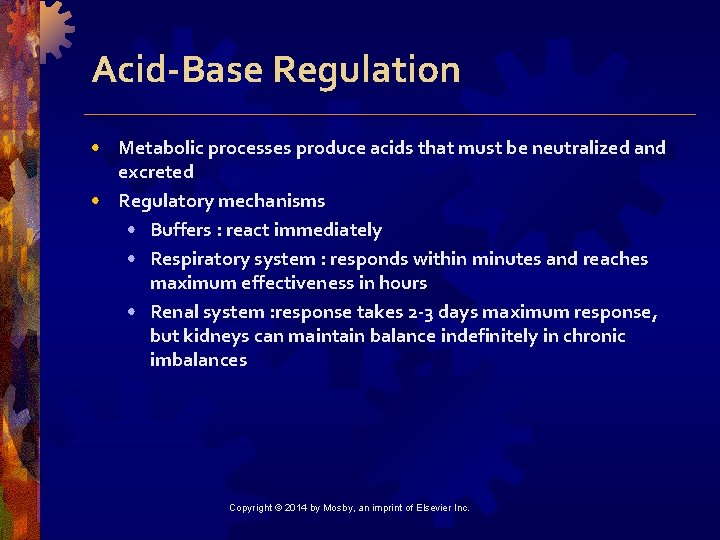 Acid-Base Regulation • Metabolic processes produce acids that must be neutralized and excreted •