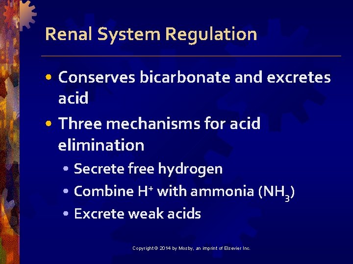 Renal System Regulation • Conserves bicarbonate and excretes acid • Three mechanisms for acid