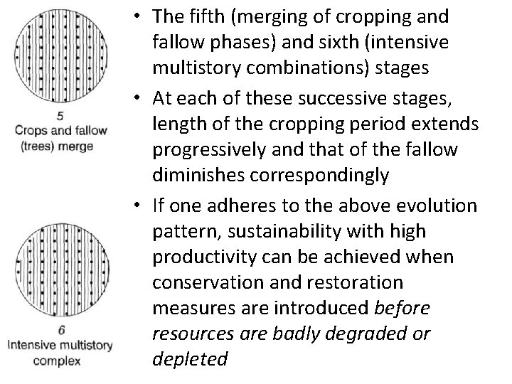  • The fifth (merging of cropping and fallow phases) and sixth (intensive multistory