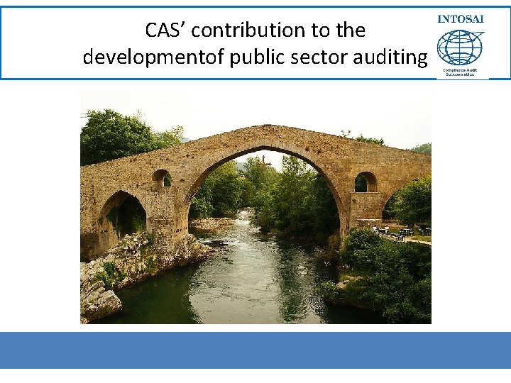 CAS’ contribution to the developmentof public sector auditing 