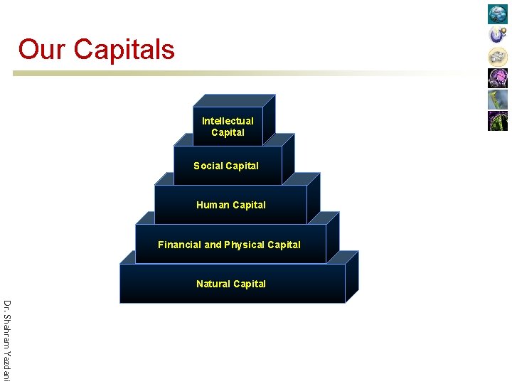 Our Capitals Intellectual Capital Social Capital Human Capital Financial and Physical Capital Natural Capital