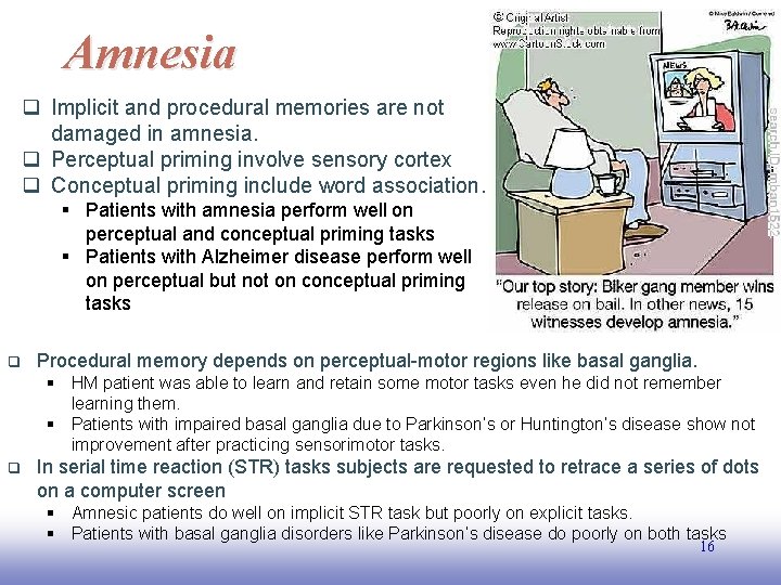 Amnesia q Implicit and procedural memories are not damaged in amnesia. q Perceptual priming