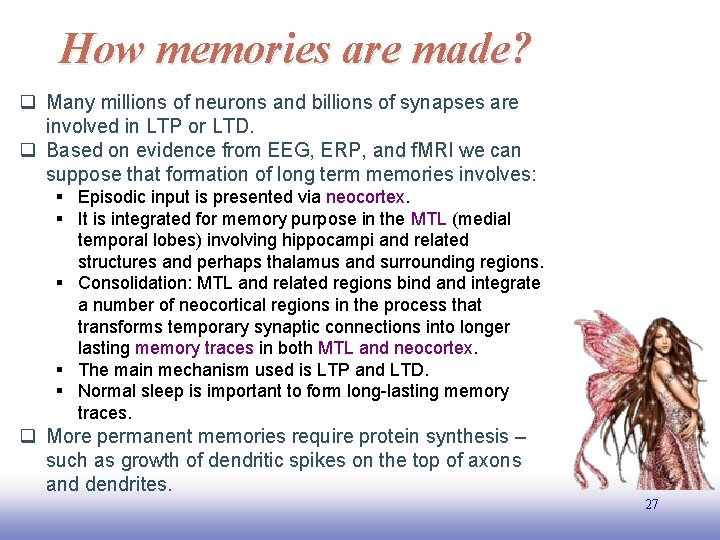 How memories are made? q Many millions of neurons and billions of synapses are