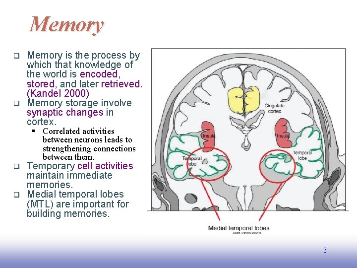 Memory q q Memory is the process by which that knowledge of the world