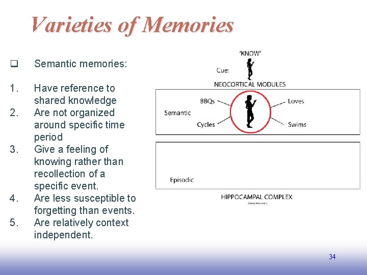 Varieties of Memories q Semantic memories: 1. Have reference to shared knowledge Are not