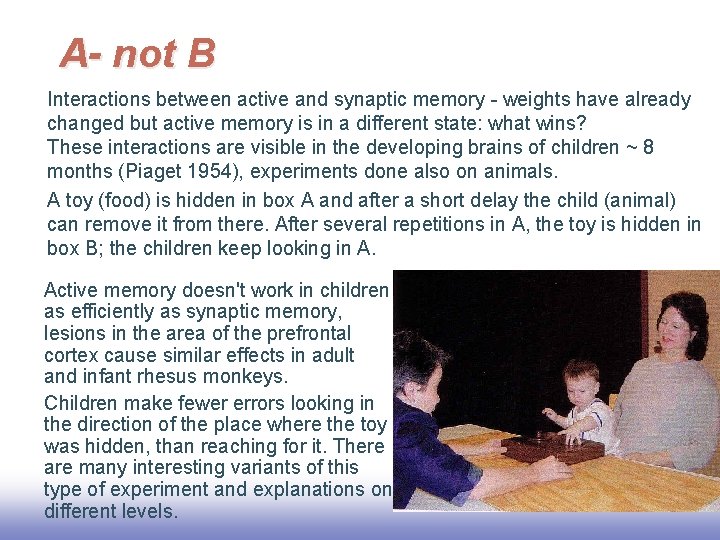 A- not B Interactions between active and synaptic memory - weights have already changed