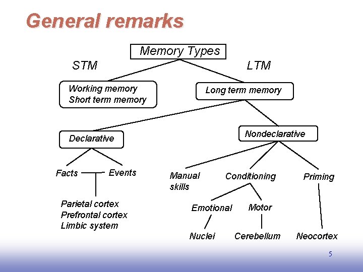General remarks Memory Types STM LTM Working memory Short term memory Long term memory