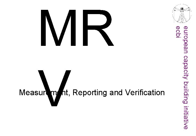 Measurement, Reporting and Verification european capacity building initiative ecbi MR V 