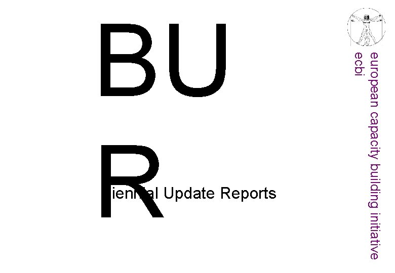 european capacity building initiative ecbi Biennial Update Reports BU R 