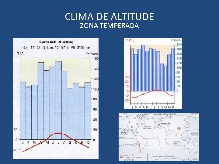 CLIMA DE ALTITUDE ZONA TEMPERADA 