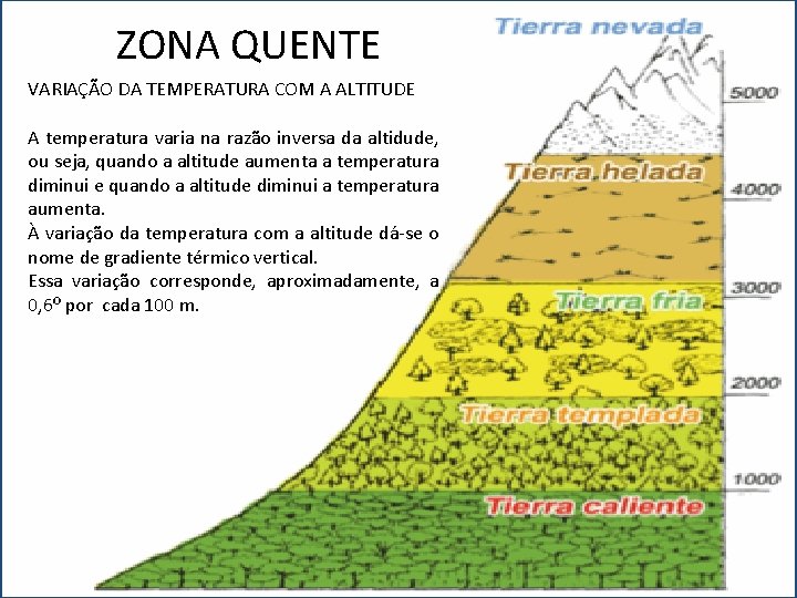 ZONA QUENTE VARIAÇÃO DA TEMPERATURA COM A ALTITUDE A temperatura varia na razão inversa