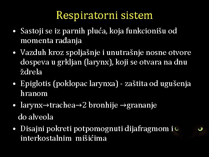 Respiratorni sistem • Sastoji se iz parnih pluća, koja funkcionišu od momenta rađanja •