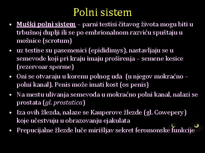 Polni sistem • Muški polni sistem – parni testisi čitavog života mogu biti u
