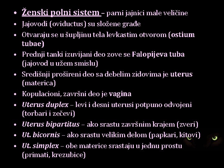  • Ženski polni sistem – parni jajnici male veličine • Jajovodi (oviductus) su