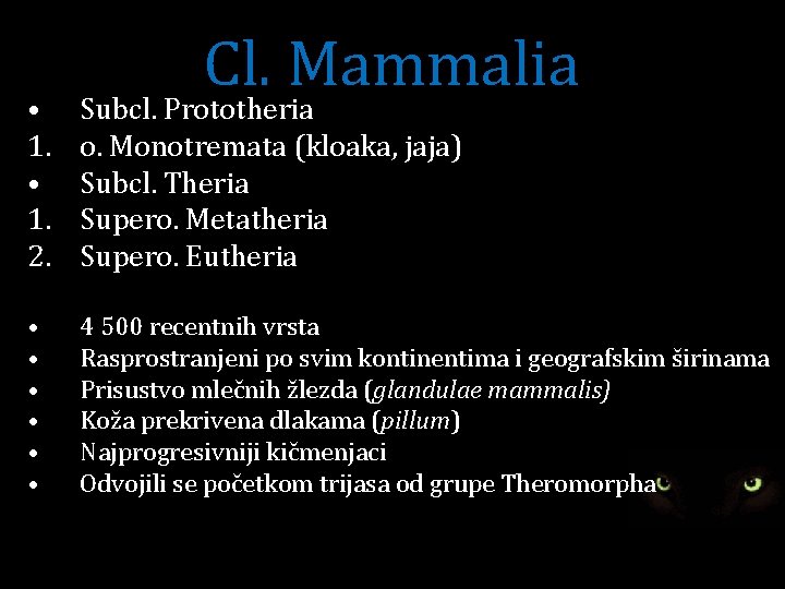 Cl. Mammalia • 1. 2. Subcl. Prototheria o. Monotremata (kloaka, jaja) Subcl. Theria Supero.