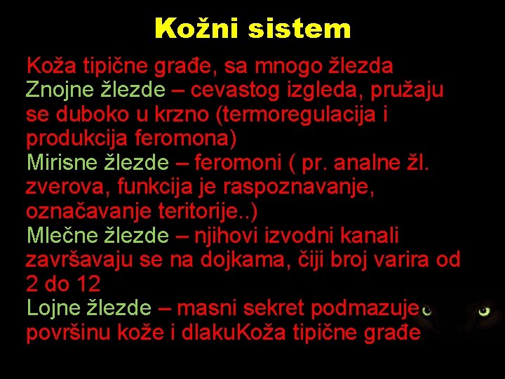 Kožni sistem Koža tipične građe, sa mnogo žlezda Znojne žlezde – cevastog izgleda, pružaju