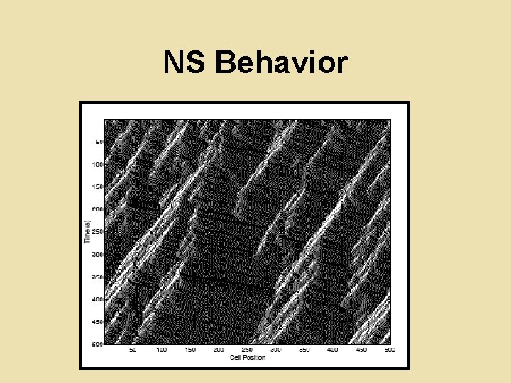 NS Behavior 