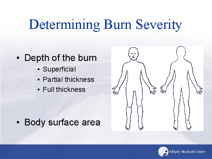 Determining Burn Severity • Depth of the burn • Superficial • Partial thickness •