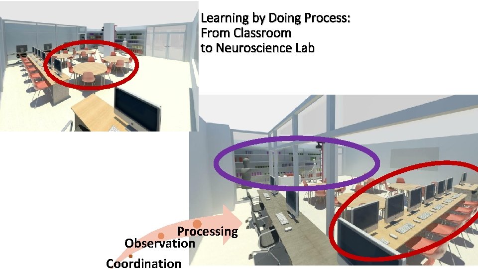 Learning by Doing Process: From Classroom to Neuroscience Lab Processing Observation Coordination 