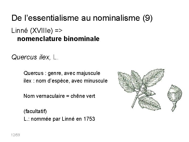 De l’essentialisme au nominalisme (9) Linné (XVIIIe) => nomenclature binominale Quercus ilex, L. Quercus