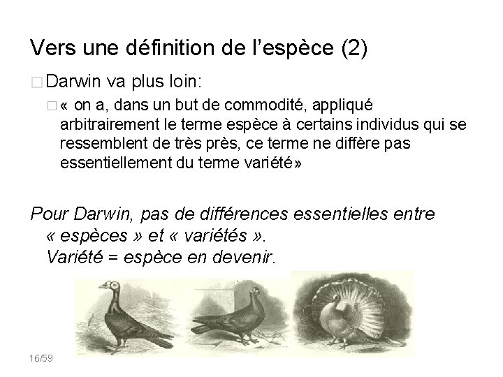Vers une définition de l’espèce (2) � Darwin va plus loin: � « on