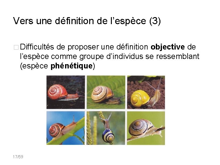 Vers une définition de l’espèce (3) � Difficultés de proposer une définition objective de