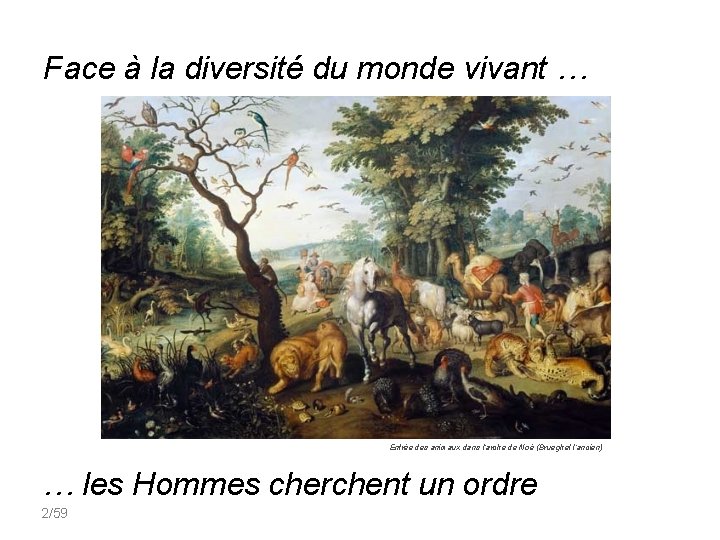 Face à la diversité du monde vivant … Entrée des animaux dans l’arche de