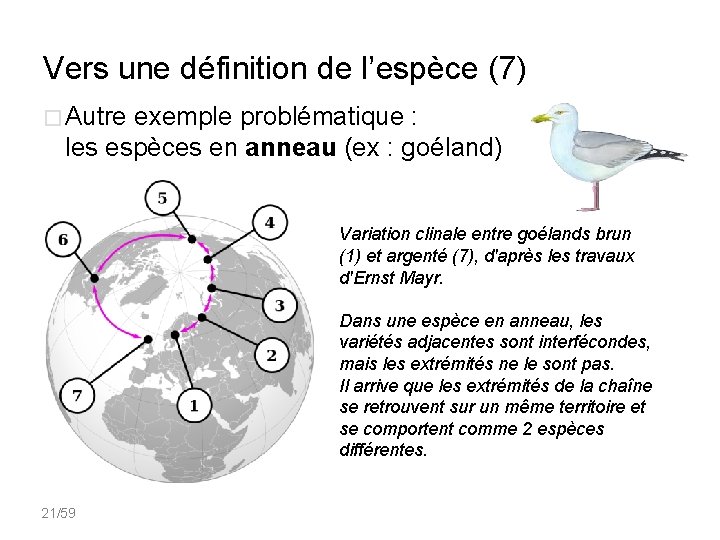 Vers une définition de l’espèce (7) � Autre exemple problématique : les espèces en