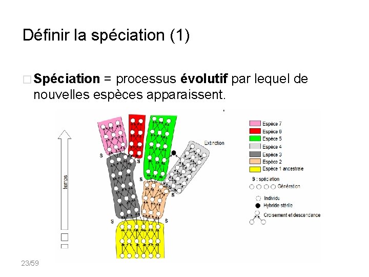 Définir la spéciation (1) � Spéciation = processus évolutif par lequel de nouvelles espèces
