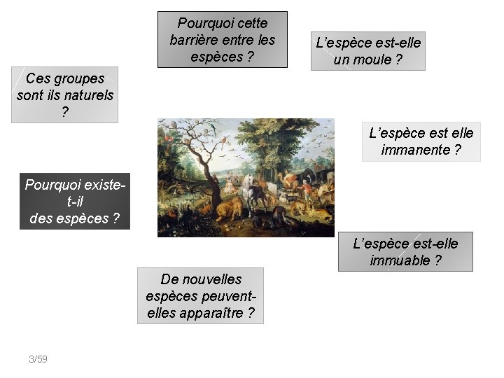 Pourquoi cette barrière entre les espèces ? L’espèce est-elle un moule ? Ces groupes