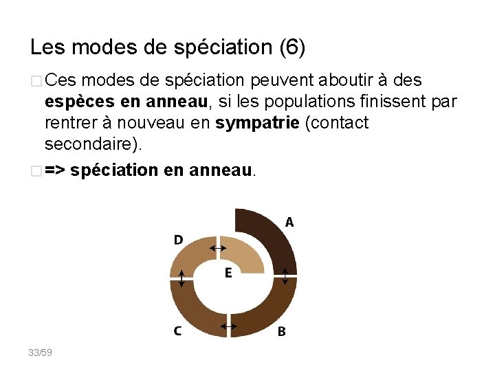 Les modes de spéciation (6) � Ces modes de spéciation peuvent aboutir à des