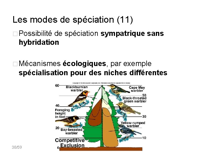 Les modes de spéciation (11) � Possibilité de spéciation sympatrique sans hybridation � Mécanismes