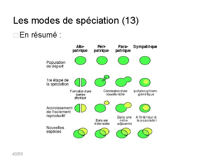 Les modes de spéciation (13) � En résumé : 40/59 