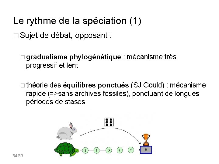 Le rythme de la spéciation (1) � Sujet de débat, opposant : � gradualisme